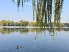 -后海公园