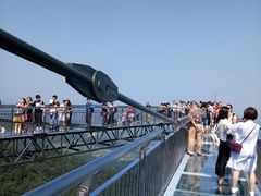 -梦幻奥陶纪景区