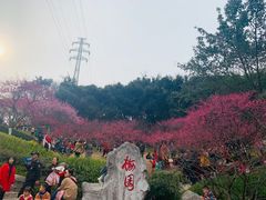 -重庆彩云湖湿地公园