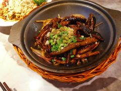-永春园·扬州早茶·淮扬菜(漫乐城店)