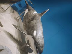 -青岛海底世界-水族馆