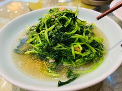 -富春茶社(国庆路店)
