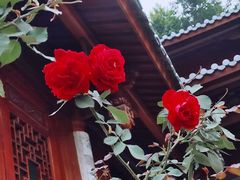 -乌山风景区