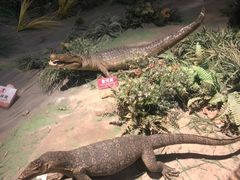 -陕西自然博物馆