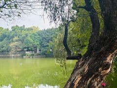 -人民公园(罗湖区)