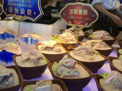 龙胆鱼-舒友海鲜姿造(白鹭洲店)
