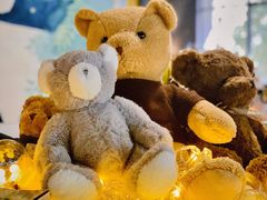 -咖法森林·咖啡  酒吧(天河店)