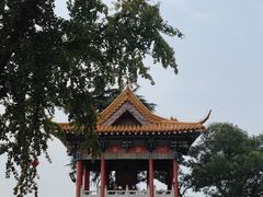-灵岩山风景区灵岩禅寺