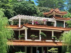 -深圳仙湖植物园