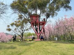 -福建鲤鱼洲酒店