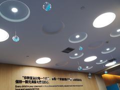 -澳洲袋鼠早教(南二环店)