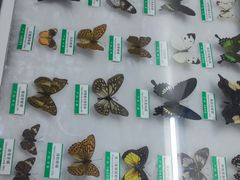 -石家庄市动物园