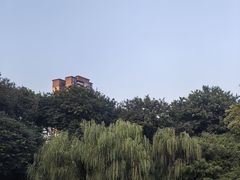 -金花茶公园
