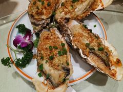 -海派美食·家宴海鲜青岛菜·石锅鲽鱼头(东方城店)