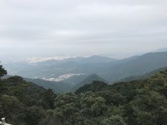 -梧桐山风景名胜区