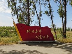 -白洋淀景区