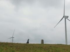 -龙里油画大草原旅游区