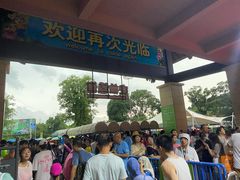 -苏州乐园森林水世界