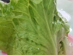 -同顺鹅庄(南华路店)