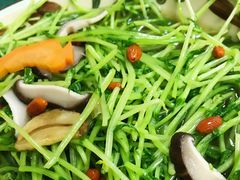 鸡汁浸豆苗-成惠食府(赤岗店)