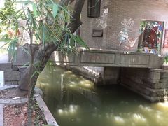 -小洲村