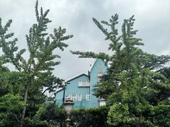 -八大关景区