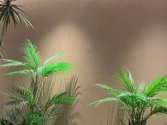 -奈雪的茶(广州万菱汇PRO店)