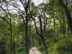 -南京老山国家森林公园
