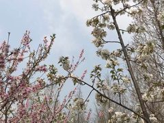 -白塘生态植物园