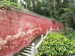 -鼎湖山风景区