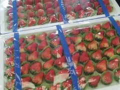 -西郊国际农产品交易中心