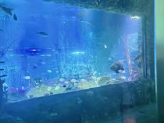 -沈阳海洋探索中心