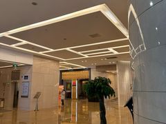 -国家会议中心大酒店