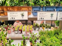-鹿岛生活(熙地港店)