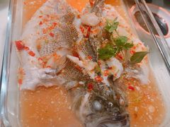 招牌柠檬鱼-佬肥猫(国华广场店)