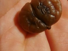 -秋栗香(地安门店)