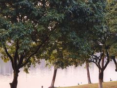 -松山湖风景区松湖烟雨