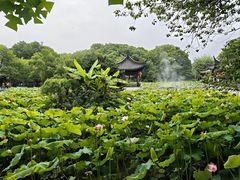 -丝绸小镇荻港古村