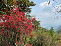 -梧桐山风景名胜区