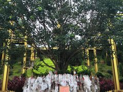 -西双版纳勐泐文化旅游区