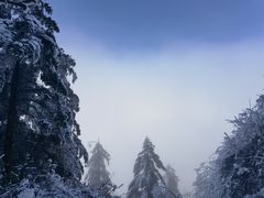 -峨眉山风景名胜区