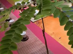 -璞禅足道(观音桥旗舰店)