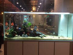 -黄鱼炙夜(华家池店)