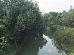 -中国扬子鳄村