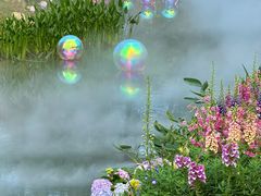 -人民公园(罗湖区)