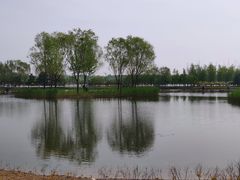 -大兴滨河森林公园