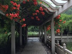 -河南省黄河迎宾馆
