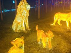 -西青郊野公园