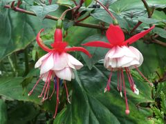 -国家植物园南园