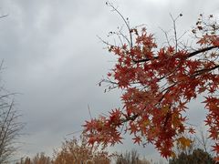 -北京园博大酒店